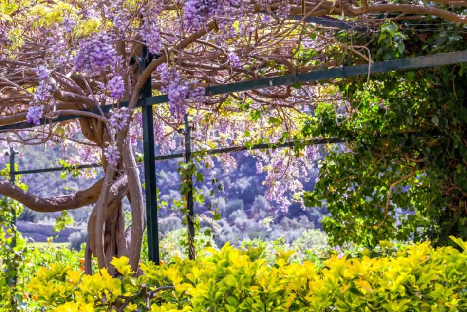 Sóller: Jardines de Alfabia Entrance Ticket - Price and value: why this $11 ticket can feel like a bargain