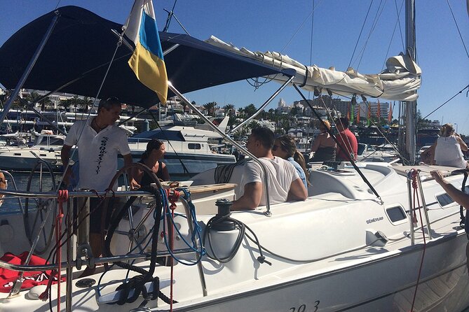 South Coast Tenerife Cruise - Key highlights at a glance
