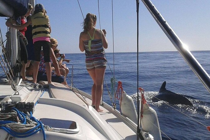 South Coast Tenerife Cruise - Whales, dolphins, and what sightings feel like