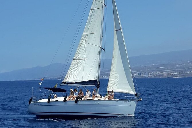 South Coast Tenerife Cruise - Swimming and snorkel time: fun, but plan for motion