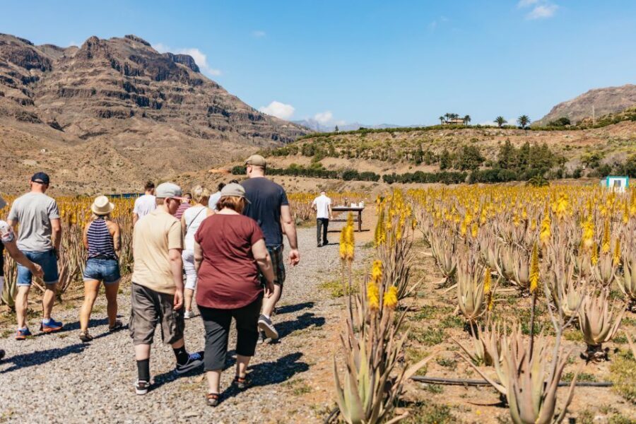 South Gran Canaria: Off-Road Valleys & Villages Jeep Tour - Key Points You Should Care About