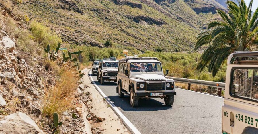South Gran Canaria: Off-Road Valleys & Villages Jeep Tour - South Gran Canaria by Jeep: Why This Route Feels Special