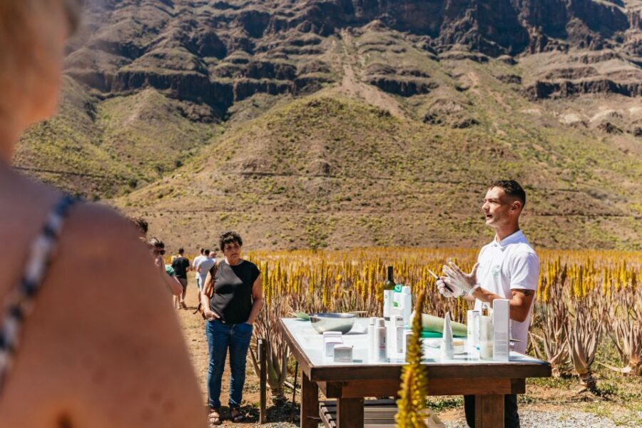 South Gran Canaria: Off-Road Valleys & Villages Jeep Tour - Roque Noblo Views: The Moment the Island Gets Dramatic