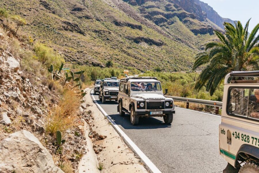South Gran Canaria: Off-Road Valleys & Villages Jeep Tour - Presa de Chira and Lake Country: A Quiet Contrast