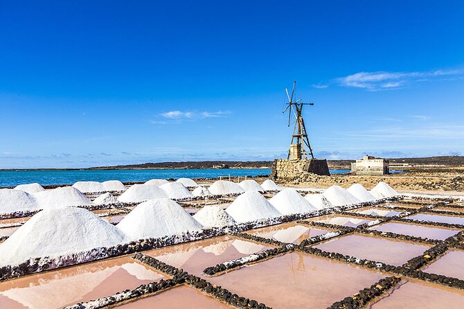 South Route Natural pools, Las Salinas and La Geria - La Geria: Ash-Protected Vines and a Winery Visit That Makes Sense