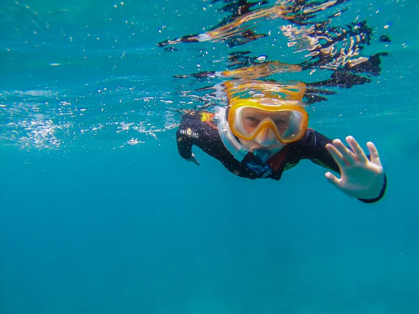 South Tenerife: Guided Snorkeling - Key highlights I think you’ll care about
