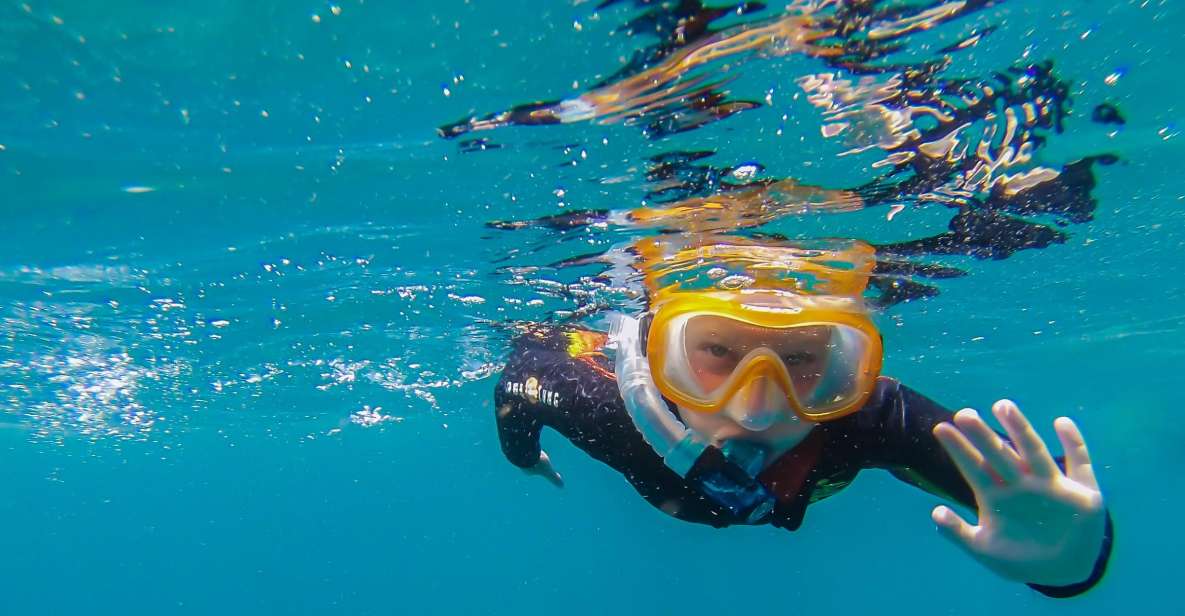 South Tenerife: Guided Snorkeling - Getting suited up: gear, comfort, and what to bring