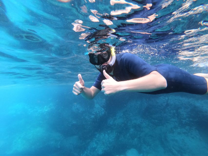 South Tenerife: Guided Snorkeling - What you can realistically expect to see in the Atlantic