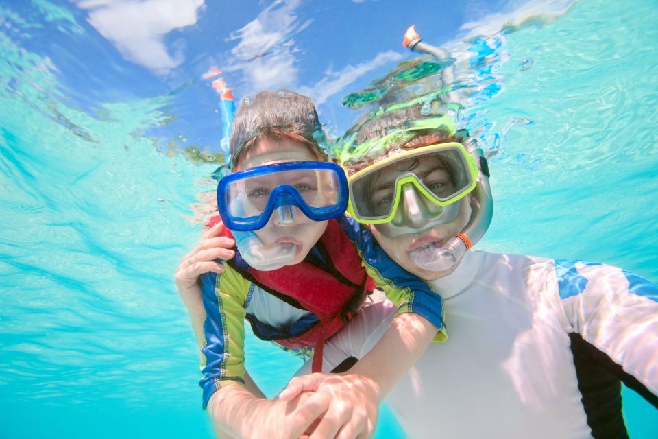 South Tenerife: Guided Snorkeling - Practical tips so your session feels smooth