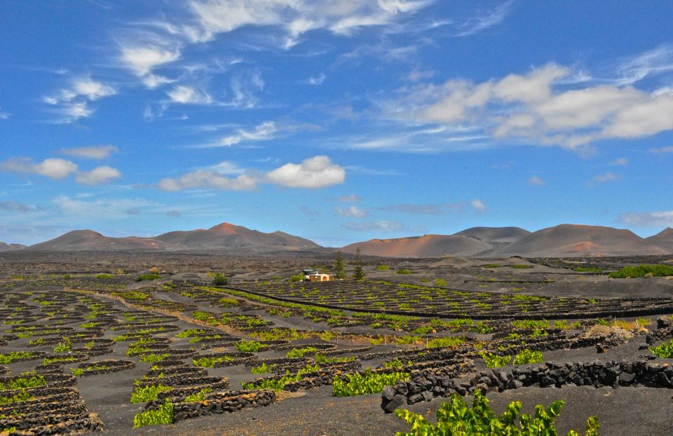 South Tour: Timanfaya National Park - Visitor Center Photo Stop: Getting Oriented Before Timanfaya