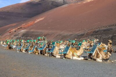 South Tour: Timanfaya National Park - El Golfo and the Green Lagoon: The Quick Stop That Sets the Mood