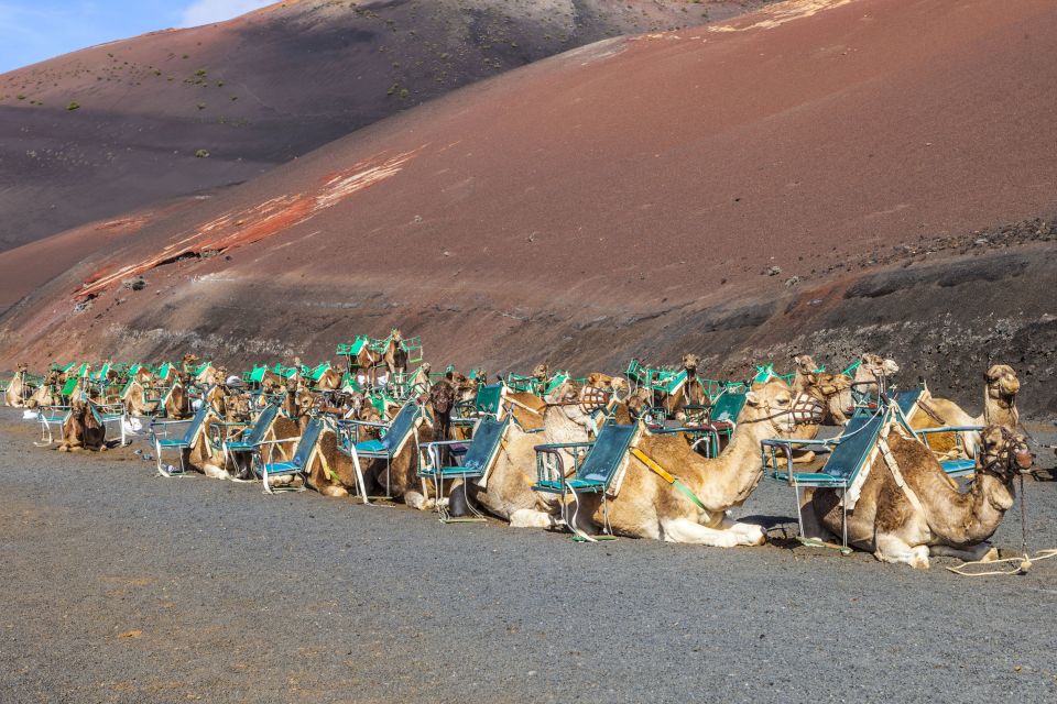 South Tour: Timanfaya National Park - El Golfo and the Green Lagoon: The Quick Stop That Sets the Mood