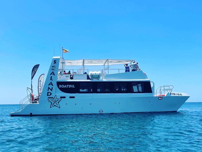 Southeast Fuerteventura: Boat Cruise with Lunch and Drinks - Whale-spotting along the bays: how to think about sightings