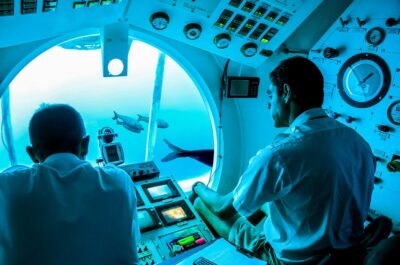 Southern Tenerife: 50-Minute Submarine Dive - Meeting at Amarilla Marina: Your First Time Check