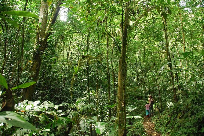 Special Private Waterfalls and Jungle Safari Tour - Stop 3: Jade Waterfall and a Banana-Leaf Costa Rican Lunch