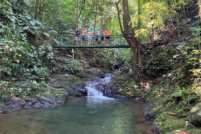 Special Private Waterfalls and Jungle Safari Tour - The 8:30 AM Start: How the Day Flows (and Why Timing Helps)