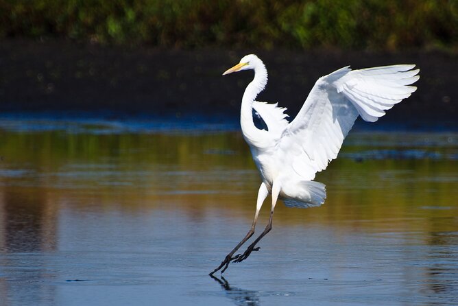 Spectacular Palo Verde Eco-Tour & Blue Zone Adventure - Meet the People: Guides Who Explain What You See