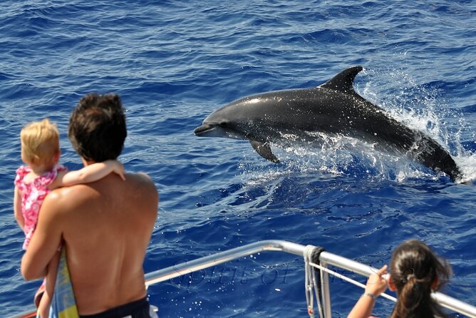 Spirit of the Sea: Cetacean sighting in Gran Canaria - Where you start in Puerto Rico and how boarding works