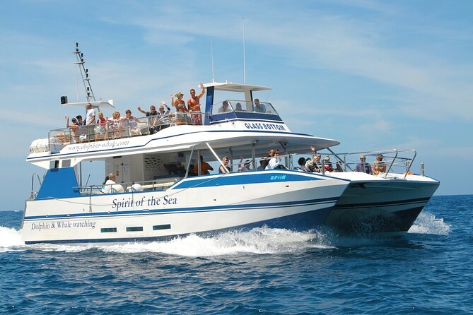 Spirit of the Sea: Cetacean sighting in Gran Canaria - Comfort and seasickness: plan for the motion
