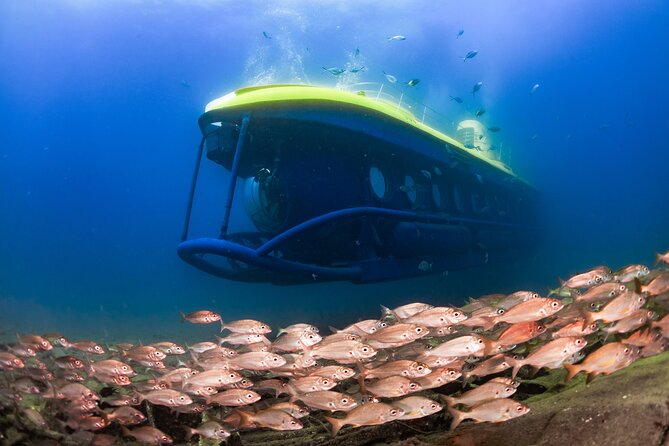 SUBMARINE ADVENTURE - Submarine Excursion in Puerto de Mogán - Key Things You Should Know Before You Go