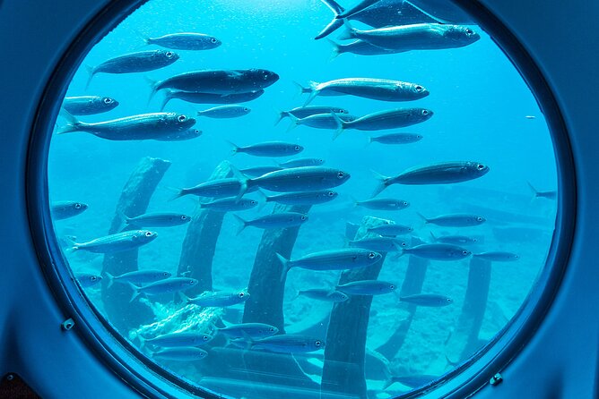 SUBMARINE ADVENTURE - Submarine Excursion in Puerto de Mogán - La Atlántida Reef Park: Why the Setup Matters