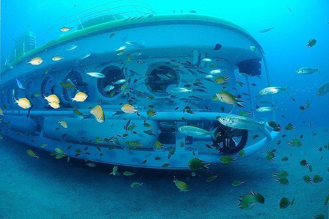Submarine Safaris Lanzarote - Who Should Book Submarine Safaris Lanzarote