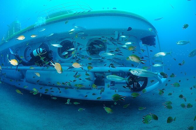 Submarine tour Tenerife: a 1 hour underwater experience - Your timeline: what happens before, during, and after the underwater portion