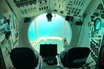 Submarine tour Tenerife: a 1 hour underwater experience - Marine life you can realistically expect (and the one thing that affects it)