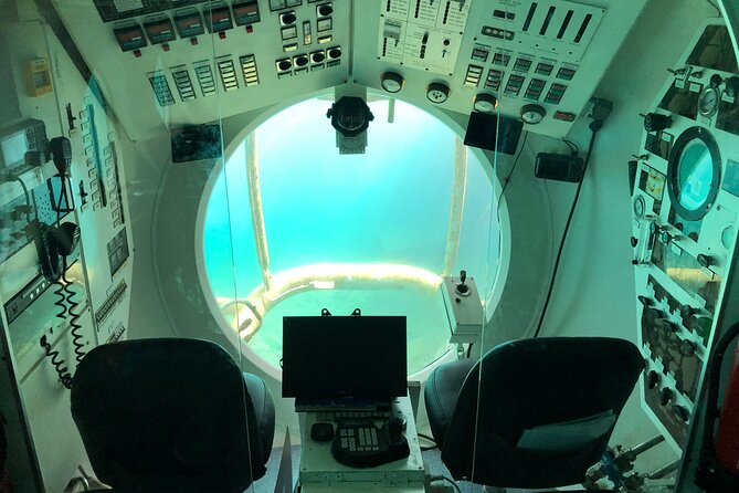 Submarine tour Tenerife: a 1 hour underwater experience - Marine life you can realistically expect (and the one thing that affects it)