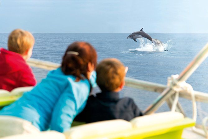 Sunrise Boat Trip in Mallorca with Dolphin-Watching - Key points to know before you go