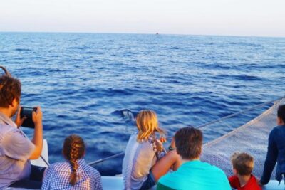 Sunrise Boat Trip in Mallorca with Dolphin-Watching - Port d’Alcúdia meeting point and the early-hour reality check
