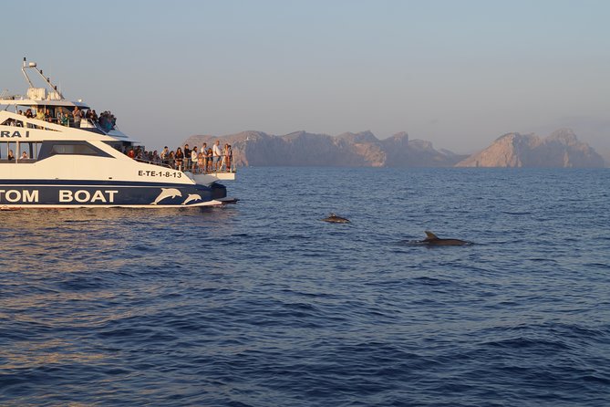 Sunrise Boat Trip in Mallorca with Dolphin-Watching - Dolphin-watching basics: what you’ll see (and what you might not)
