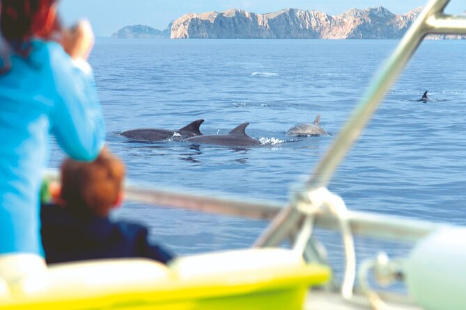 Sunrise Boat Trip in Mallorca with Dolphin-Watching - Comfort, crowds, and seasickness: the real decision factors