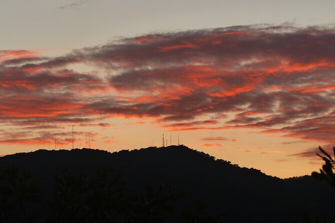 Sunset And Night Walk Guided Tour - What you’re paying for: value of a $50 guided night walk in Monteverde