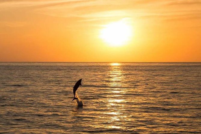 Sunset Beach Hopping Cruise, Cala Comte and Cala Bassa, SUP and snorkelling - Meals and drinks: pasta, pizza, fruit, and what to expect on alcohol