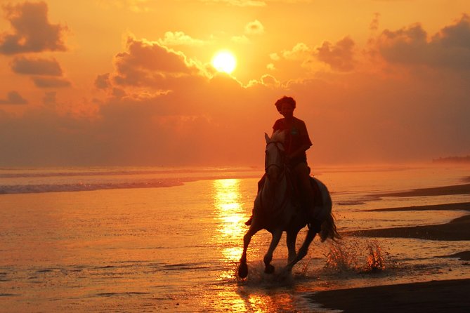 Sunset & Horses - Key Highlights You’ll Actually Feel
