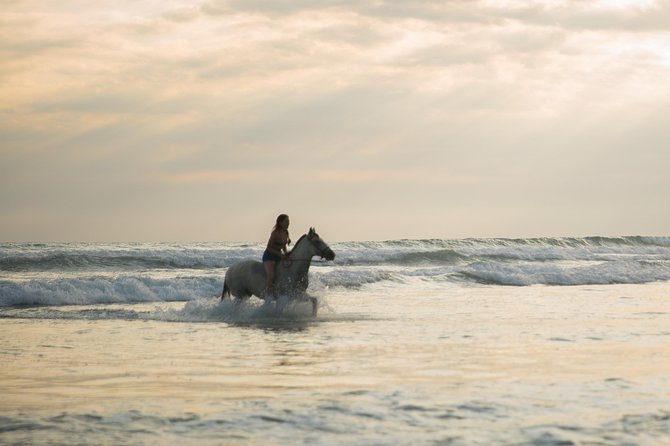 Sunset & Horses - Price and Value: Is $67 Reasonable?