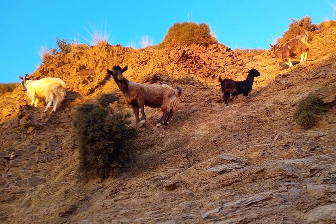 Sunset Jeep Tour in Crete - Karfi at sunset: Prosecco, fruit, and the best photo angles