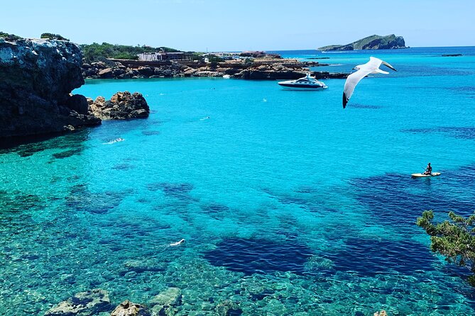 SUP Adventure Ibiza (stand up paddle & snorkeling) VIP TOUR - When This Tour Is a Great Fit