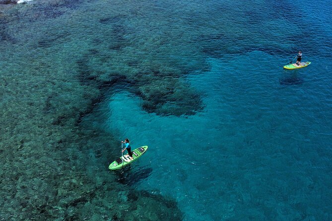 SUP Standup Paddling and Snorkeling Shared Experience - Key Highlights You Should Know