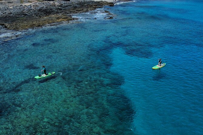 SUP Standup Paddling and Snorkeling Shared Experience - Snorkeling in the Right Spots: Fish, Reefs, and Simple Techniques