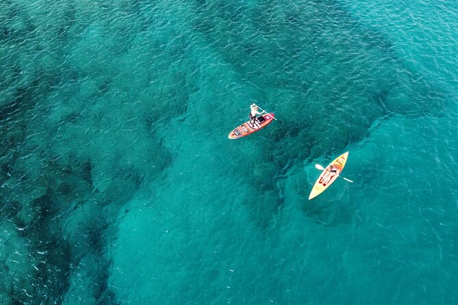 SUP Standup Paddling and Snorkeling Shared Experience - Is $58.87 Good Value for This 2-Hour Combo?