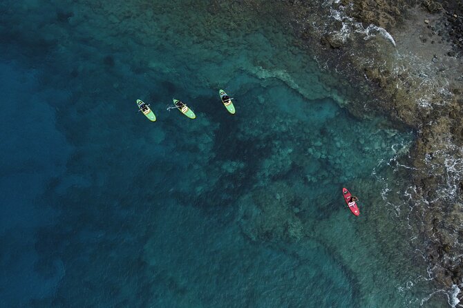 SUP Standup Paddling and Snorkeling Shared Experience - Who This Suits Best (And Who Might Want a Different Plan)