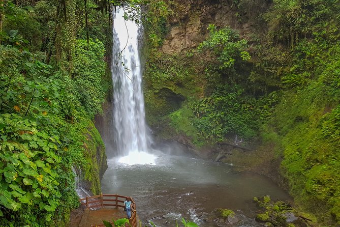 Super Combo Tour: Waterfalls Gardens + Coffee Tour + Poás Volcano - Who Should Book This Combo (and Who Should Skip It)