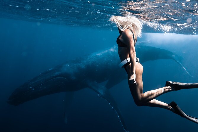 Swimming with Whales in Moorea (Half Day tour) - Who This Tour Fits Best, and When to Choose the Boat-View Option