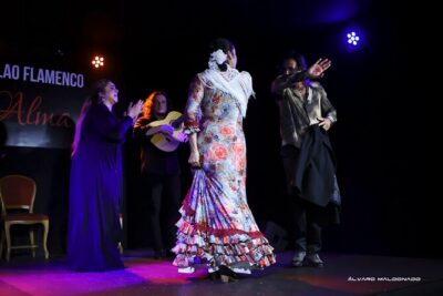 Tablao Flamenco Alma - Live Flamenco Show - The venue feel: seating, clapping, and how close is close