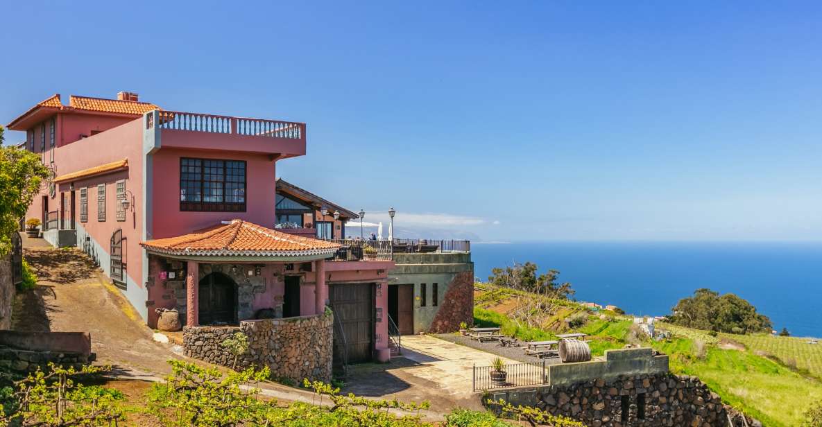 Tacoronte: Guided Winery Tour with Wine and Cheese Tastings - Key things I’d watch for