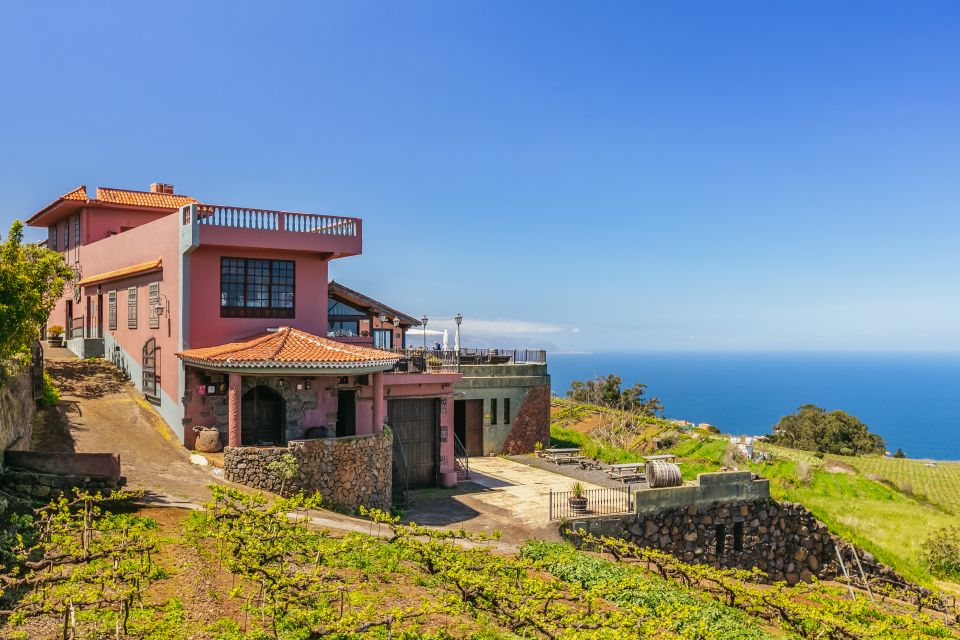 Tacoronte: Guided Winery Tour with Wine and Cheese Tastings - Finding Your Way to Bodegas Monje (El Sauzal, Tenerife)