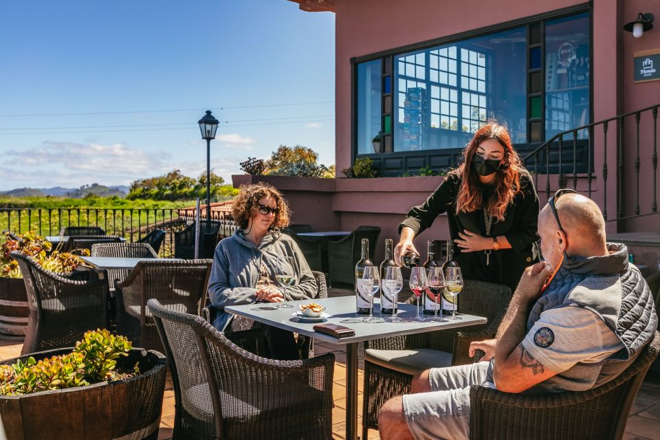 Tacoronte: Guided Winery Tour with Wine and Cheese Tastings - The Four-Wine, Four-Cheese Tasting: Your Island Hopping in a Glass