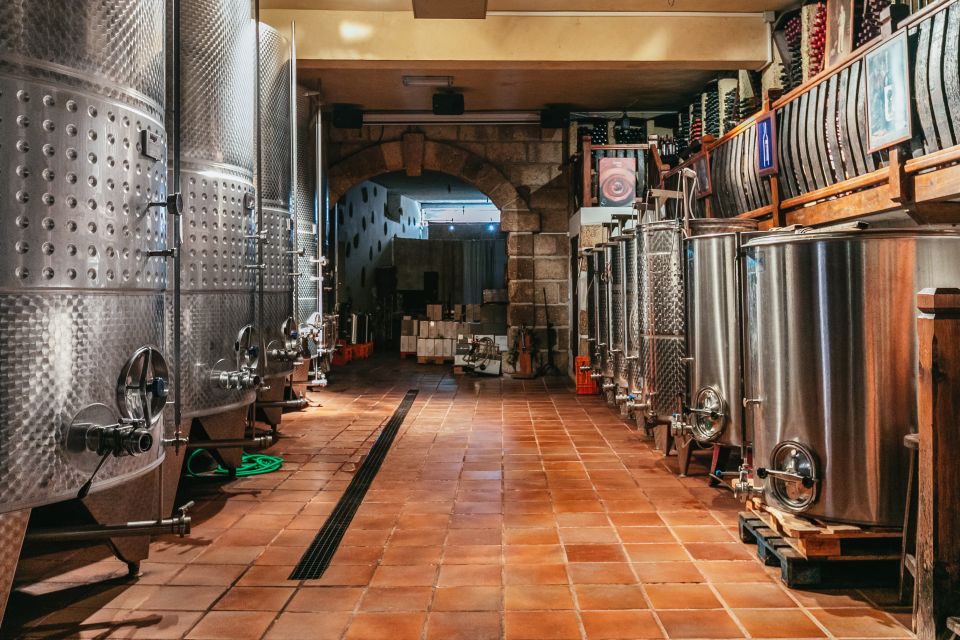 Tacoronte: Guided Winery Tour with Wine and Cheese Tastings - Who This Tour Suits Best (And Who Might Want Something Else)